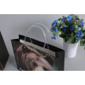 Lovely Pet Pattern Printed Shopping Bag with Plastic Handle Gift Bags